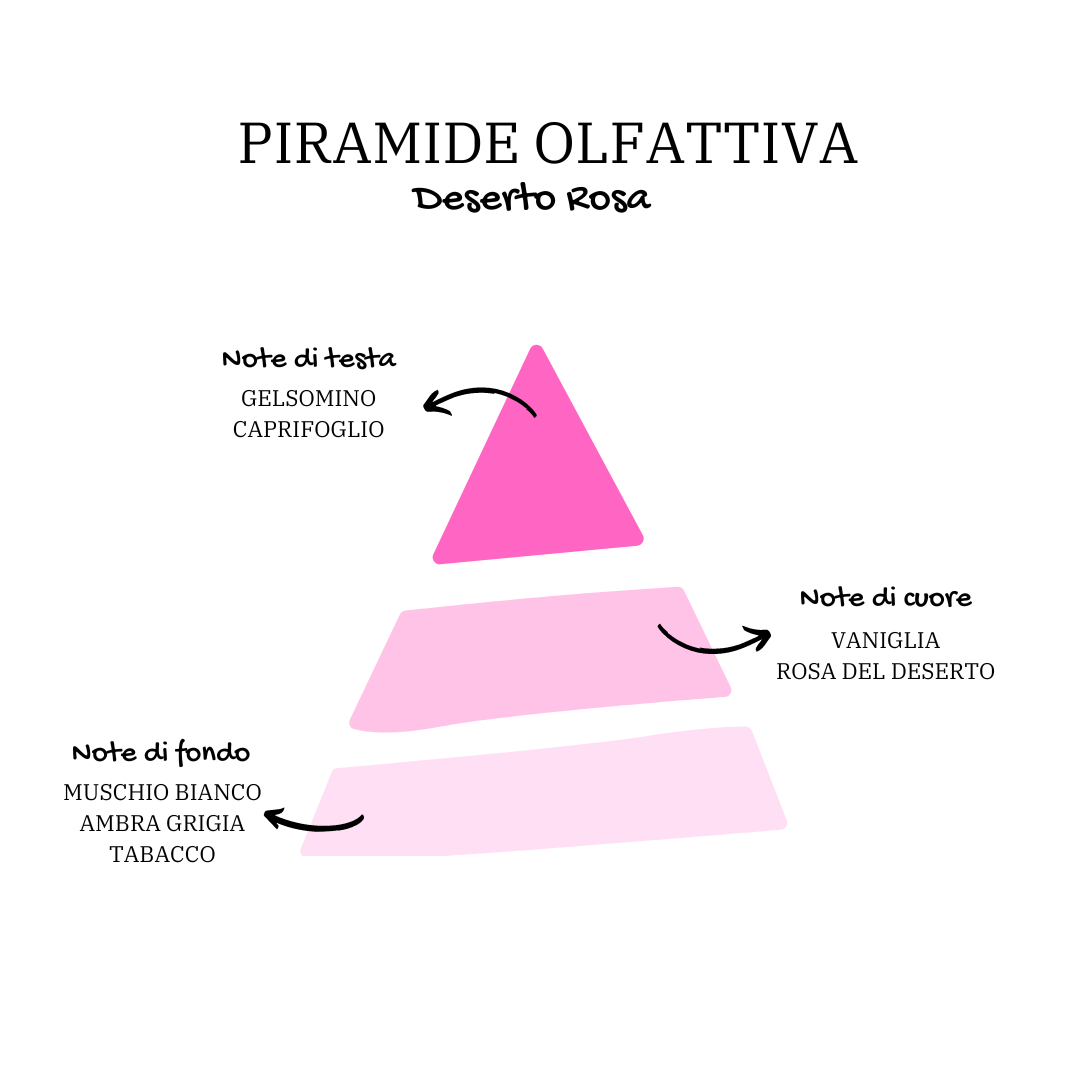 Immagine Piramide del Prodotto