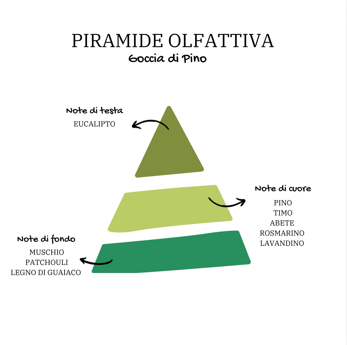 Immagine Piramide del Prodotto
