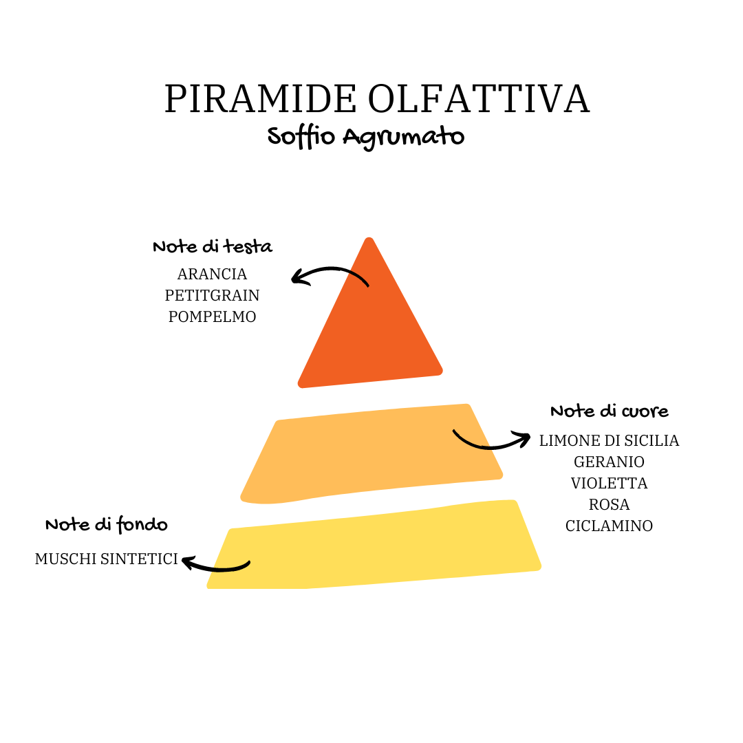 Immagine Piramide del Prodotto